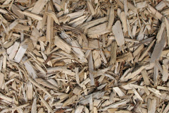 biomass boilers Foxt